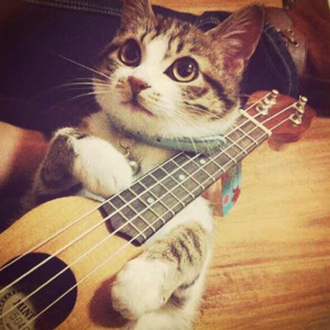 ぎばちゃん前编
